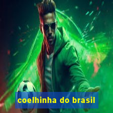 coelhinha do brasil