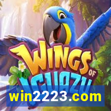 win2223.com