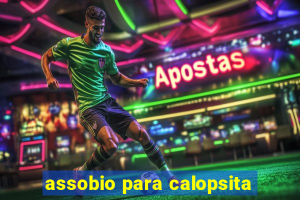 assobio para calopsita