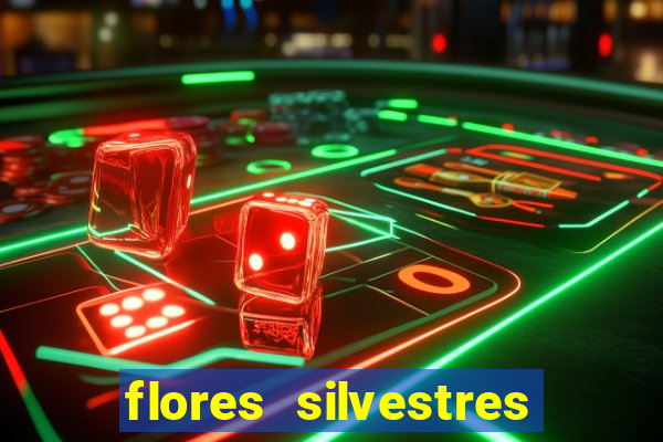 flores silvestres desbravadores desbravadores 25 flores silvestres e seus nomes