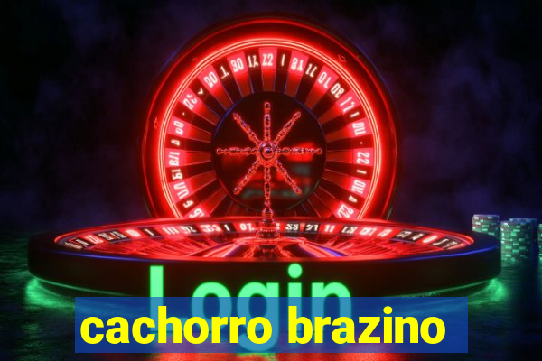 cachorro brazino