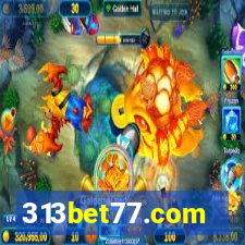 313bet77.com