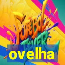 ovelha