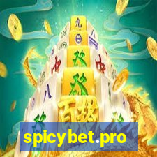 spicybet.pro