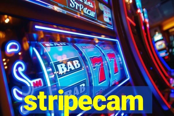 stripecam